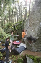 Vilda - tescoma lobby 