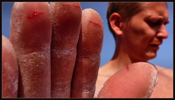 Li&scaron;ty jsou občas pěkně ostr&yacute;