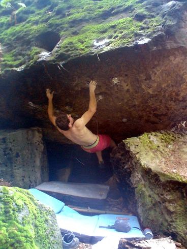 The Power Of Lion The Power Of Lion