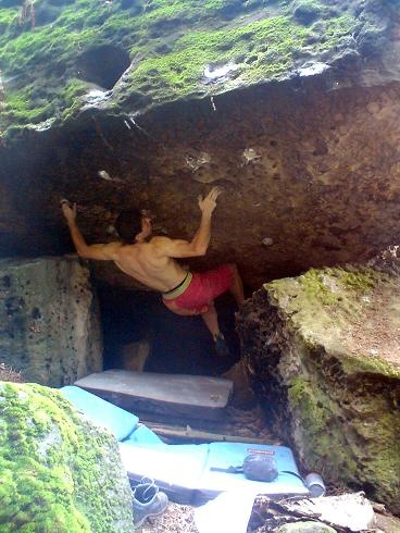 The Power Of Lion The Power Of Lion