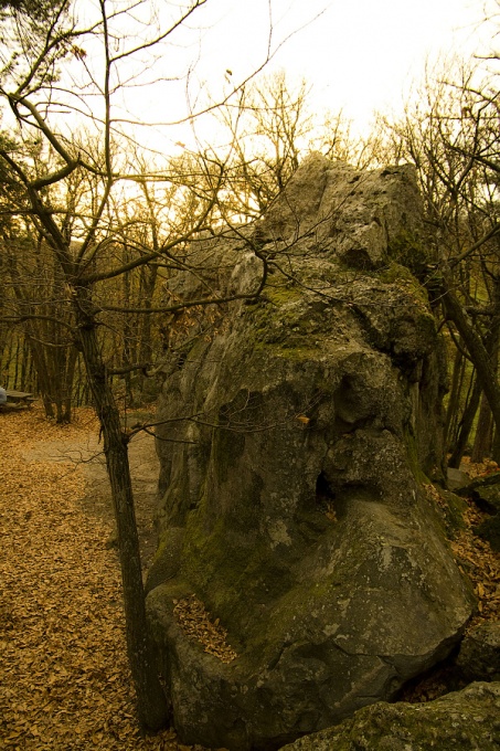 Roches qui dansent Roches qui dansent