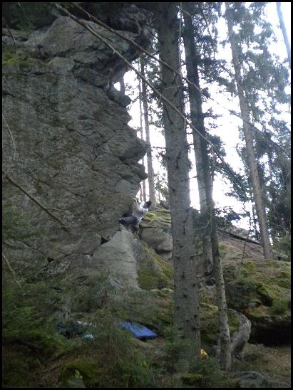 Vilda v higball hraně