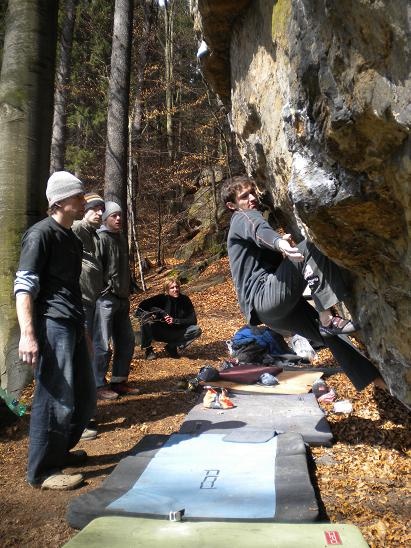 Štěpa v Nude 8A/8A+ Štěpa v Nude 8A/8A+