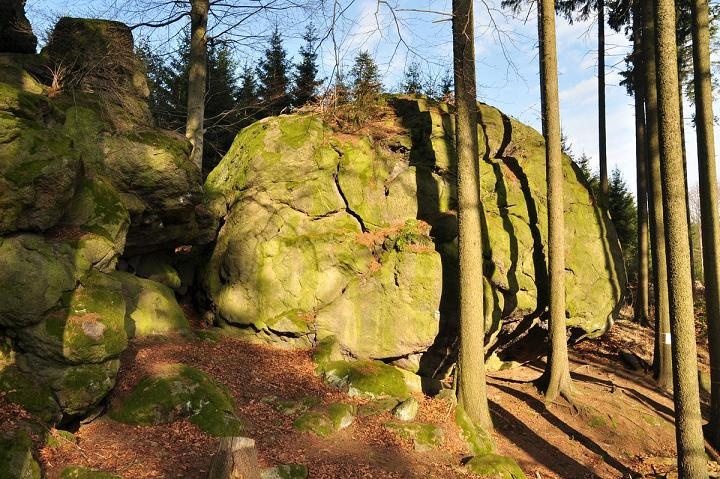 panský les panský les