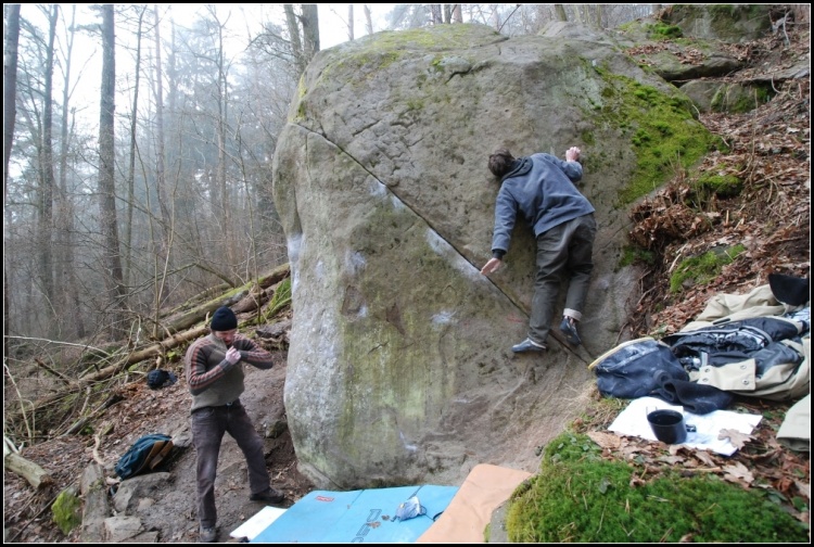 Zenové dudlíky celkový pohled Zenové dudlíky