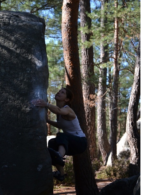 Sektor Elephant 5? Sektor Elephant 5?